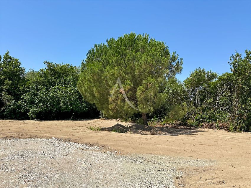 Image de terrain à Saint-Jean-de-Monts