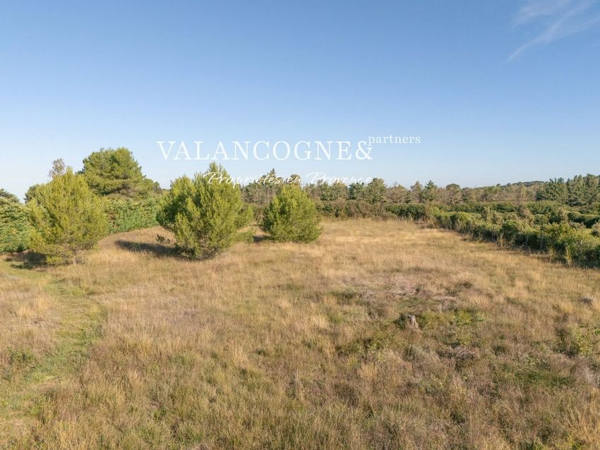 Image Vue à terrain de Eygalières