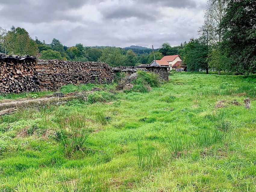Image de terrain à Mandray