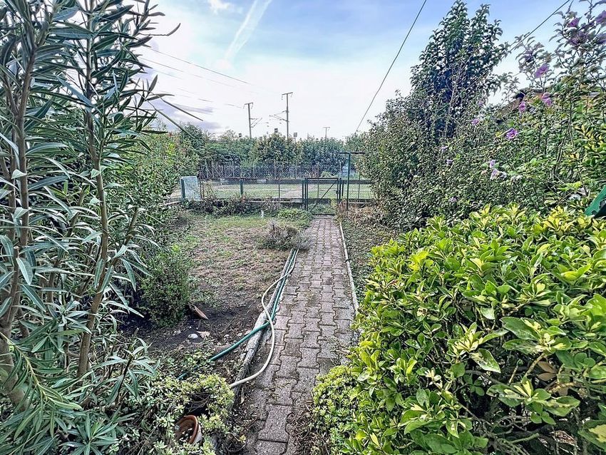 Image Jardin à  maison individuelle de Bourg-lès-Valence