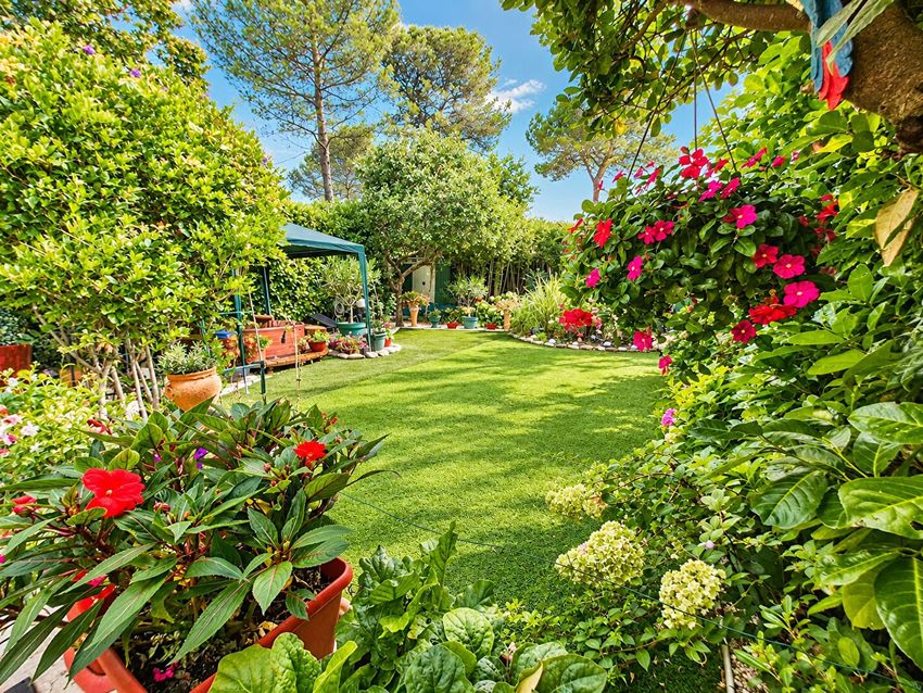 Image Jardin à  maison mitoyenne de Venelles