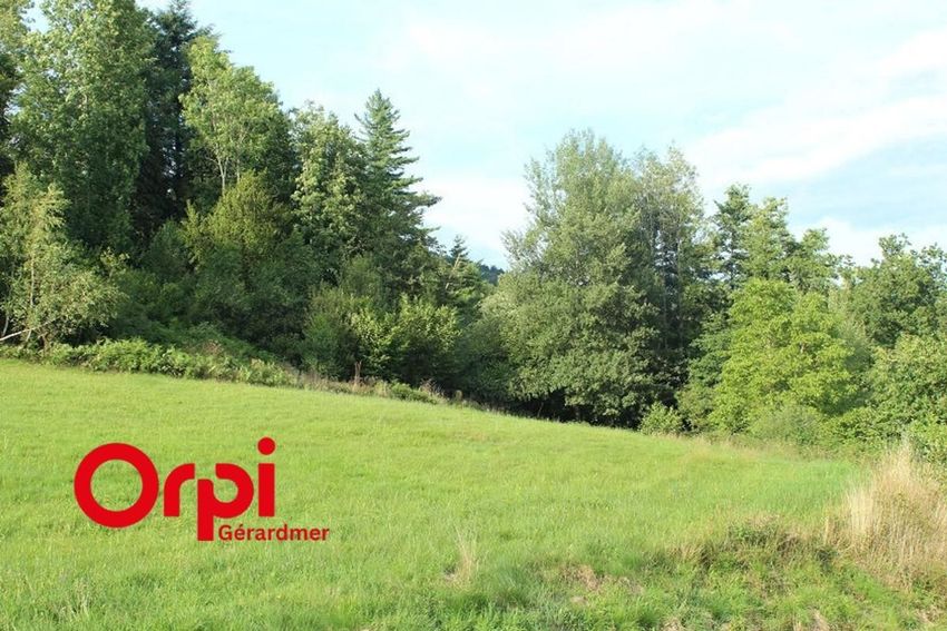 Image de terrain à Cleurie