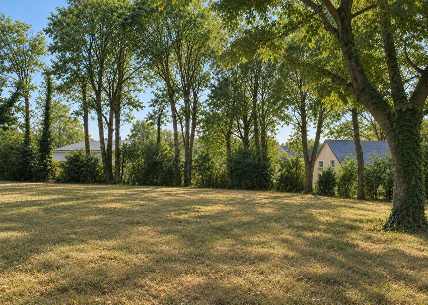 Image de terrain à La Chapelle-sur-Erdre
