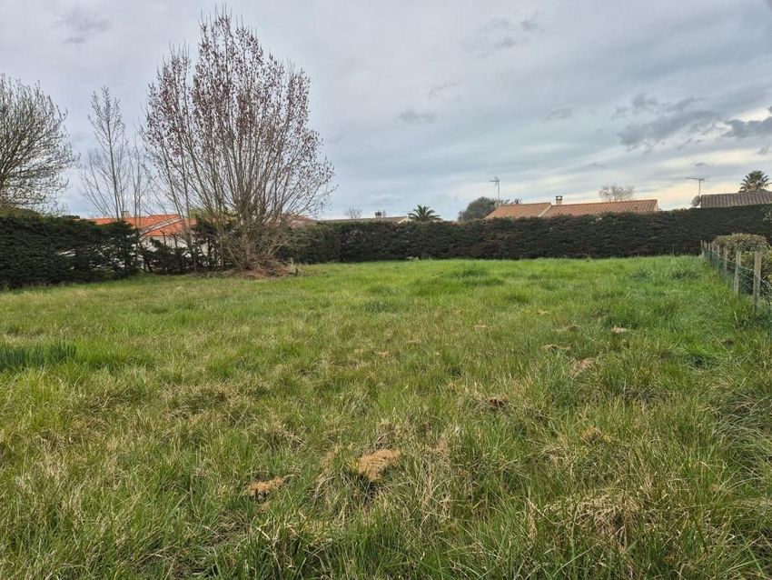 Image de terrain à Le Château-d'Oléron