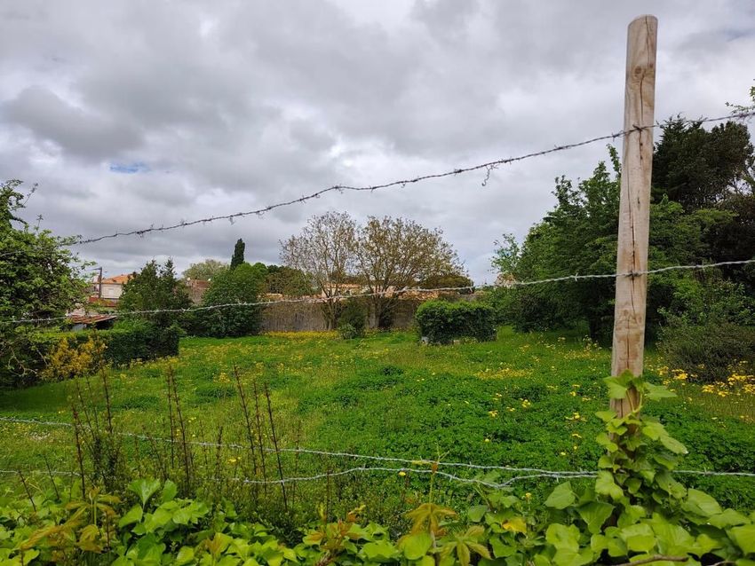 Image de terrain à Tonnay-Charente