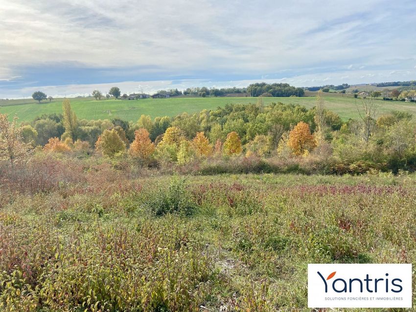 Image Vue à terrain de Montastruc-la-Conseillère