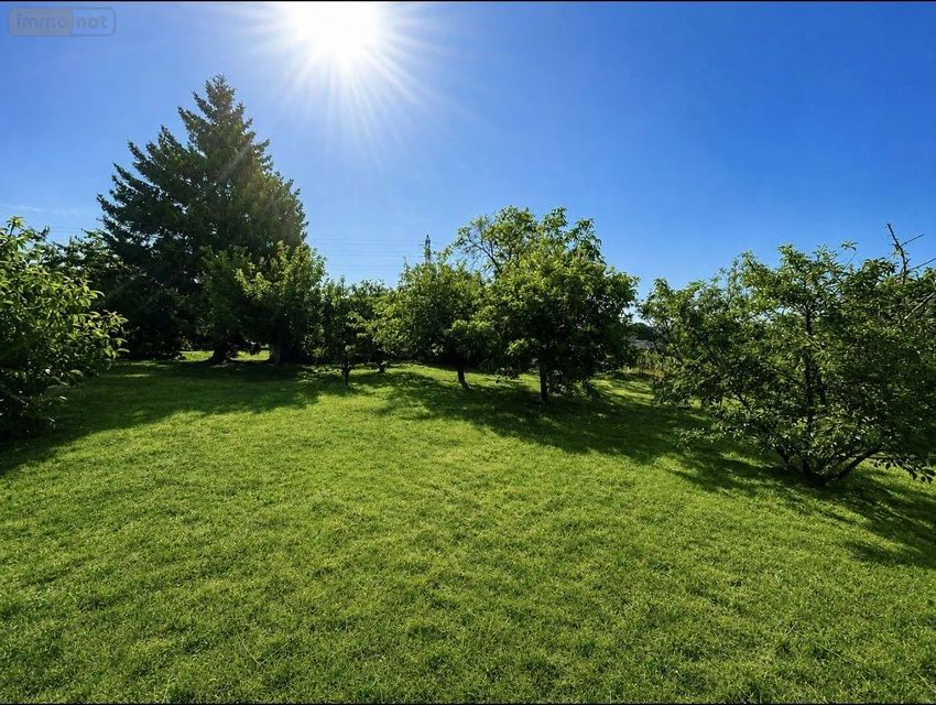 Image de terrain à Allonnes