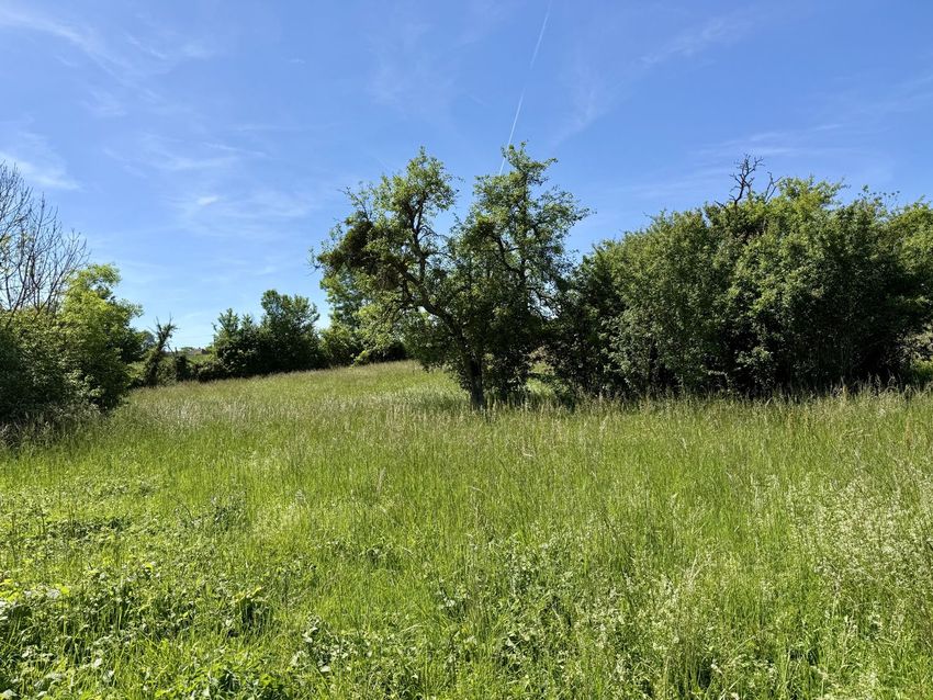 Image de terrain à Saint-Jean-de-Bonneval
