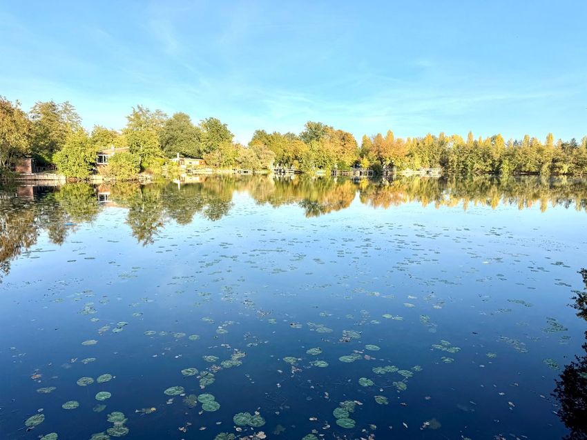 Image Vue à  propriété agricole de Ars-sur-Moselle
