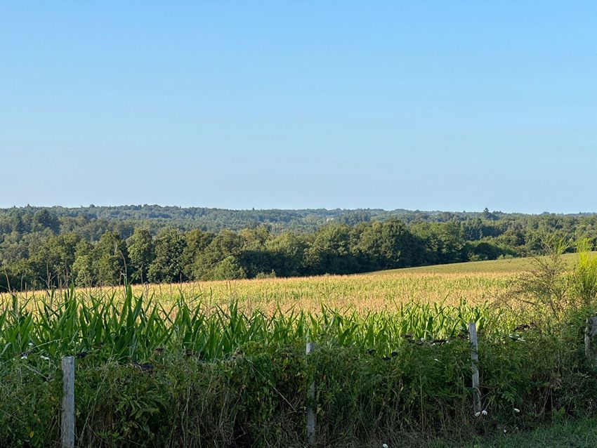 Image Vue à  ferme de Payzac