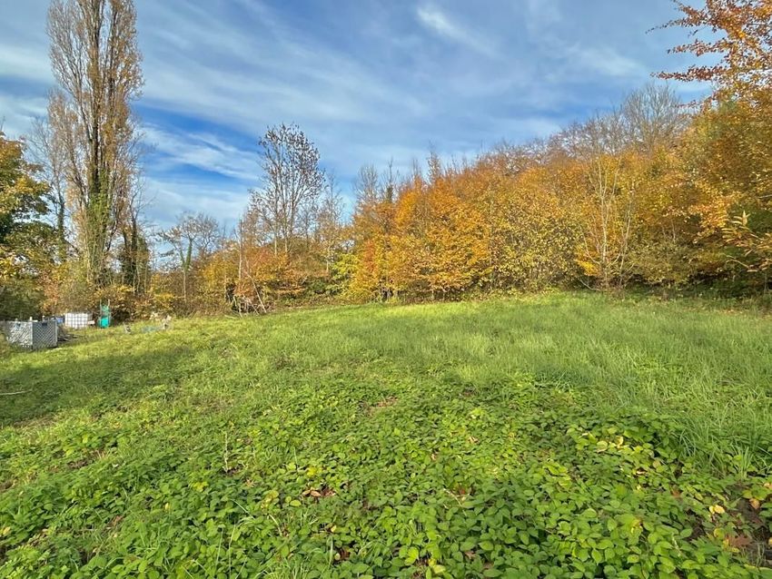 Image de terrain à Villers-Cotterêts