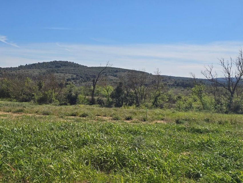 Image Vue à terrain de Portel-des-Corbières