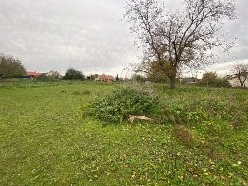 Image de terrain à Saint-Léger-des-Vignes