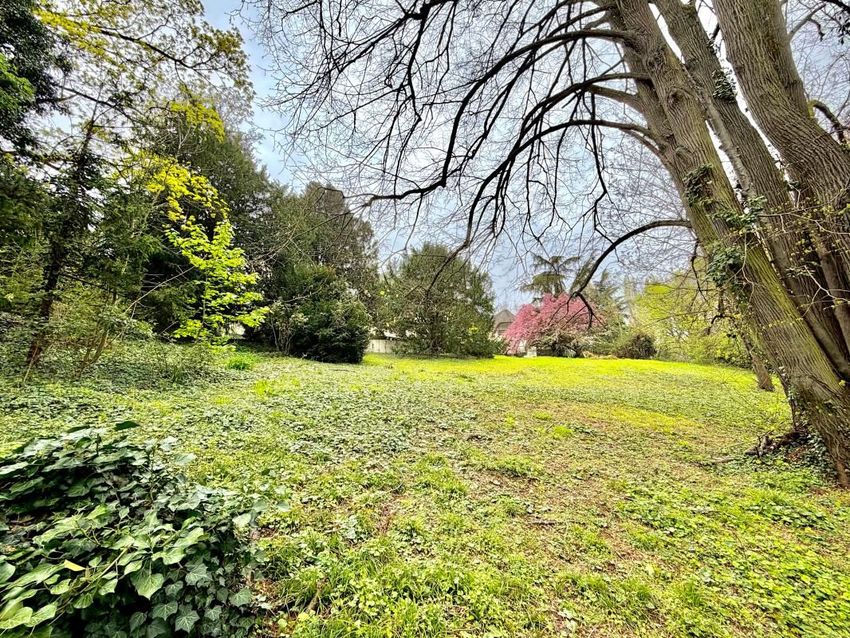 Image de terrain à Louveciennes