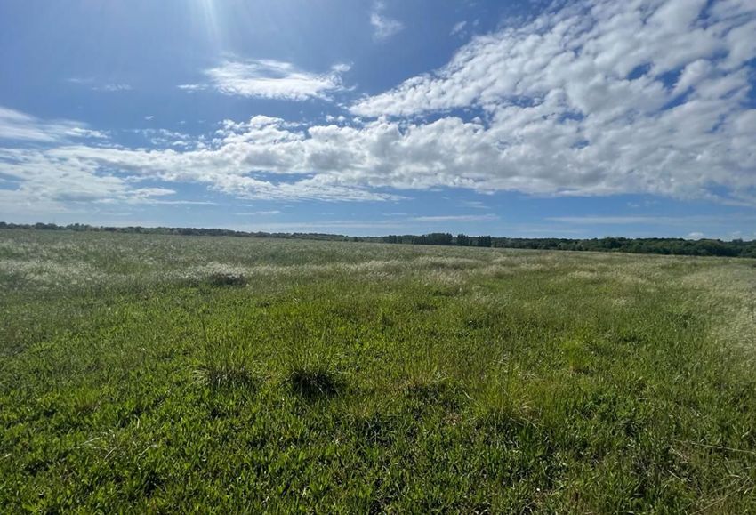 Image Vue à terrain de Meschers-sur-Gironde