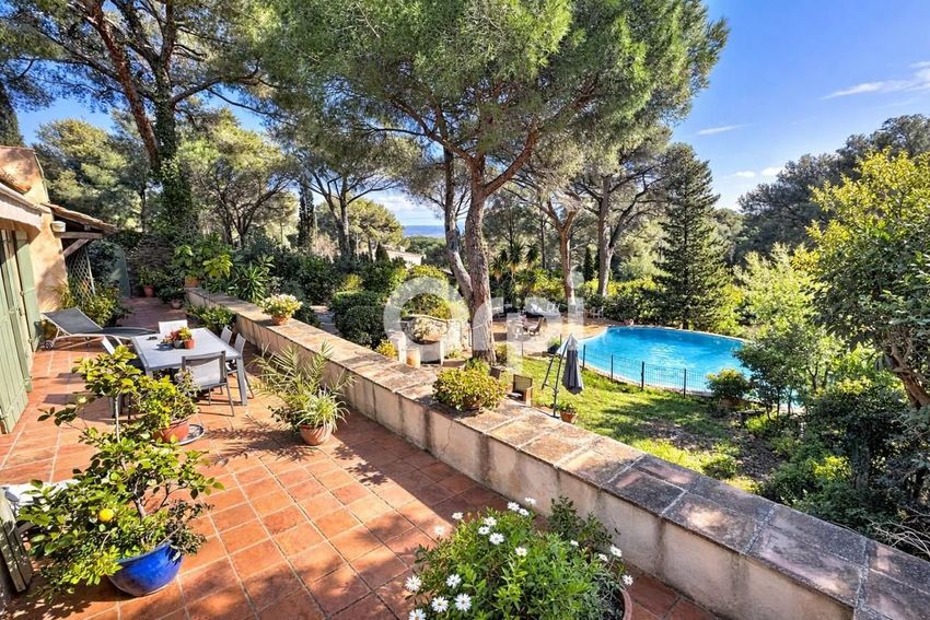 Image Piscine à  maison individuelle de Cavalaire-sur-Mer