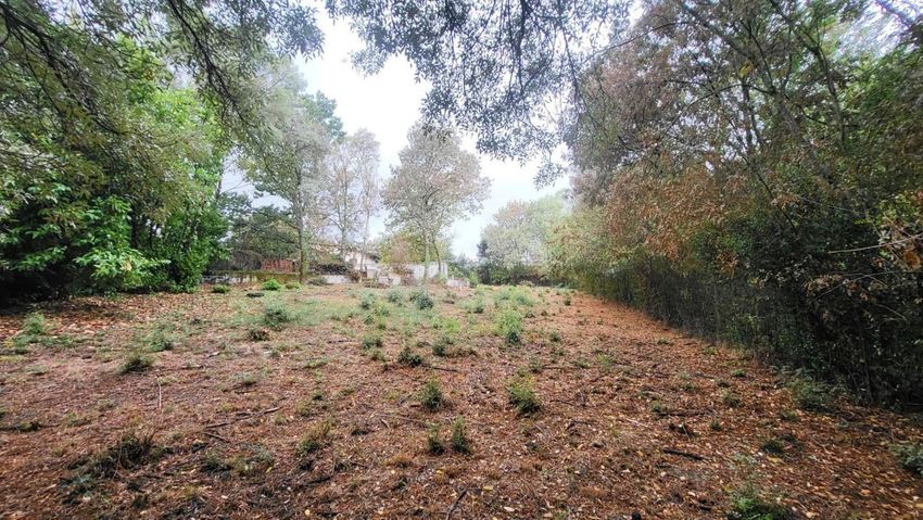 Image de terrain à Pin-Balma