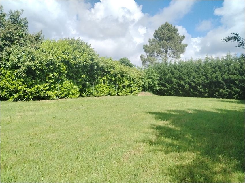 Image Jardin à  maison individuelle de Montpon-Ménestérol