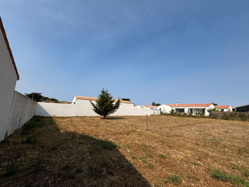 Image de terrain à Saint-Denis-d'Oléron