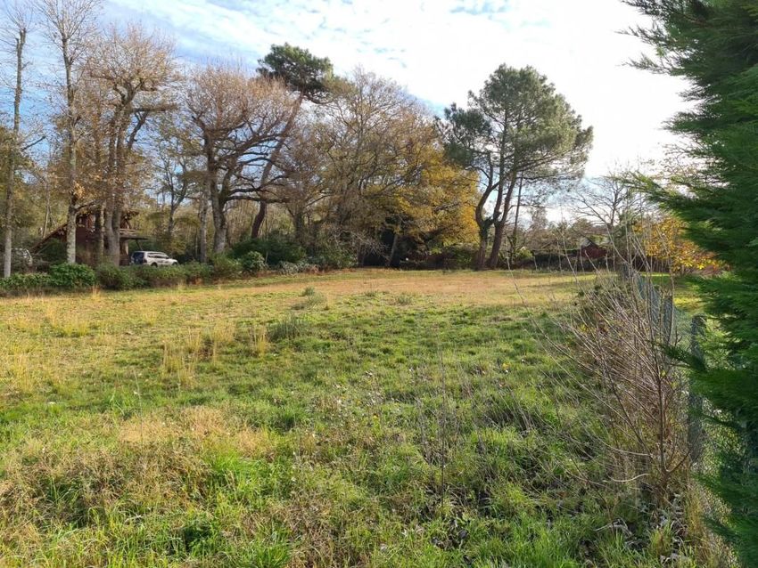 Image de terrain à Grayan-et-l'Hôpital