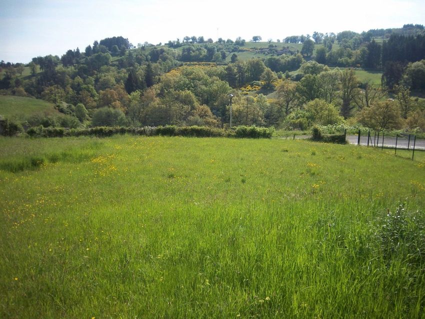 Image de terrain à Saint-Dier-d'Auvergne
