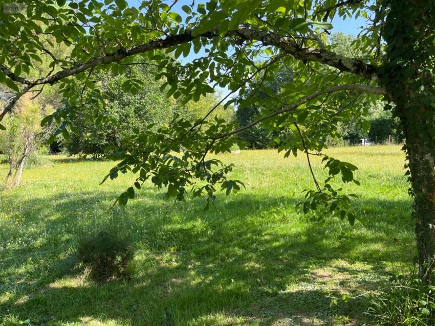 Image de terrain à Saint-Ciers-d'Abzac