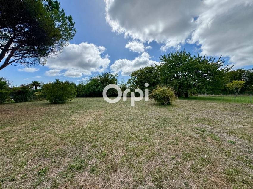 Image de terrain à Mornac-sur-Seudre
