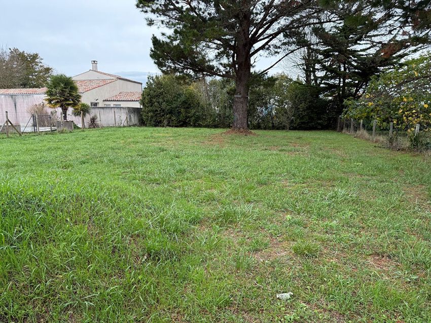 Image de terrain à Saint-Georges-d'Oléron