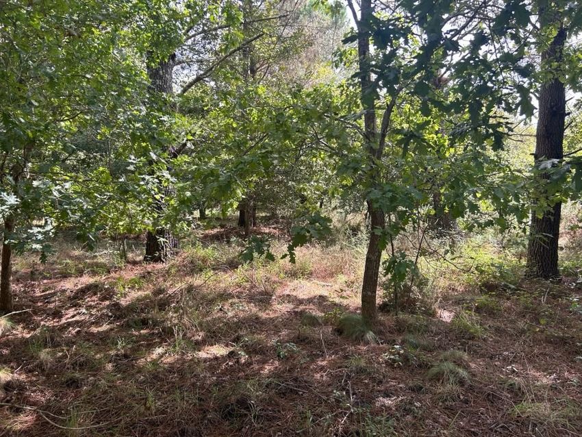 Image de terrain à Gastes