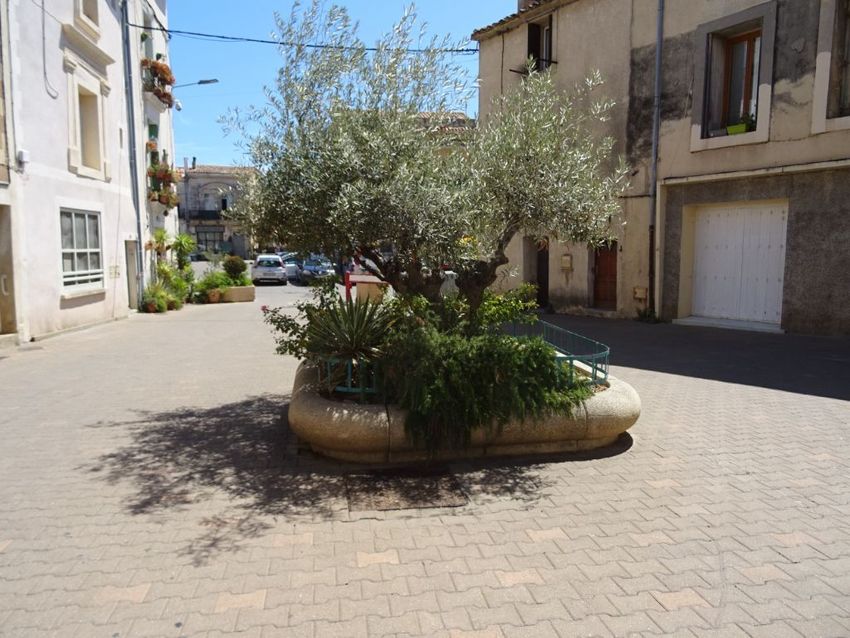 Image de appartement à Villeneuve-lès-Maguelone