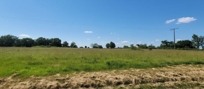 Image de terrain à Plazac