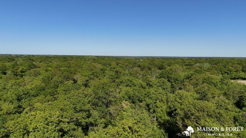 Image Vue à terrain de Ouzouer-sur-Trézée
