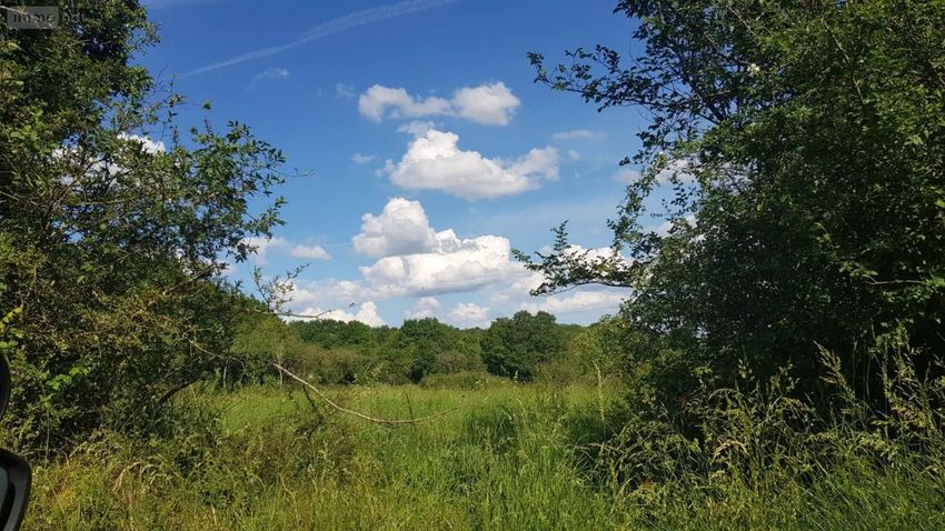 Image de terrain à Mennetou-sur-Cher