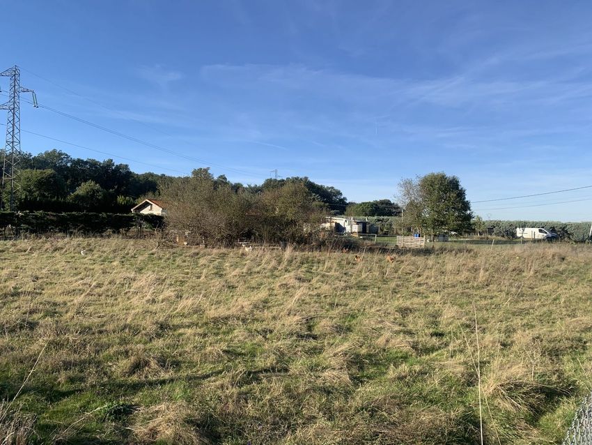 Image de terrain à 425 Route de Toulouse
