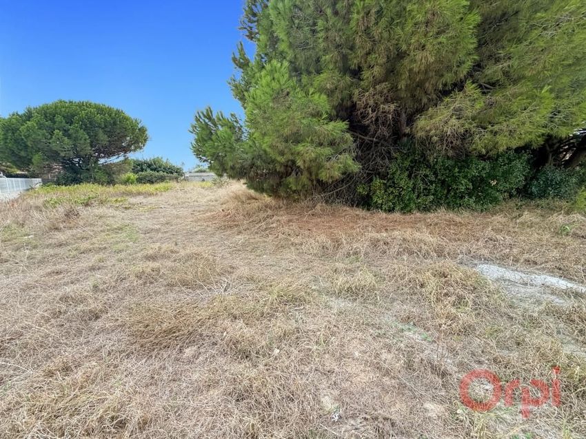 Image de terrain à Agde