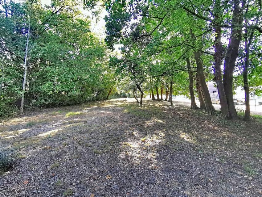 Image de terrain à Varennes-Jarcy