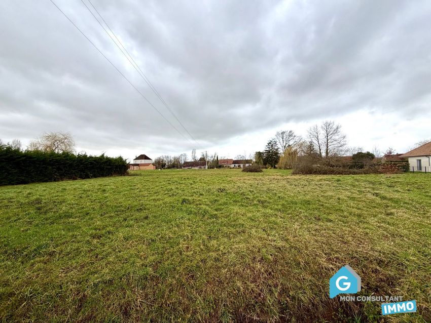 Image de terrain à Saint-Martin-en-Bresse