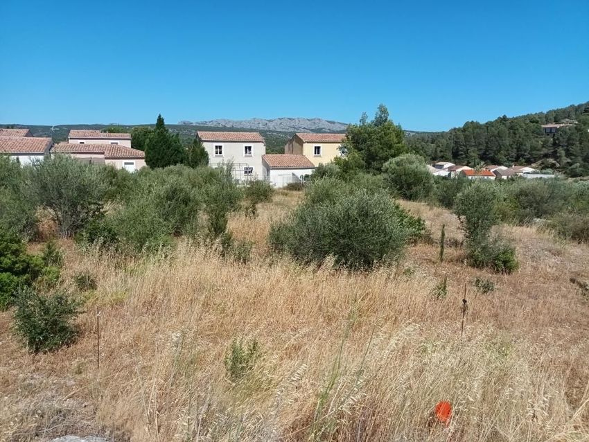 Image de terrain à Paziols