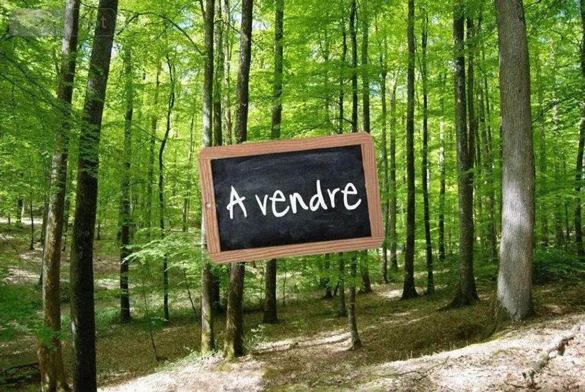 Image de terrain à Maleville