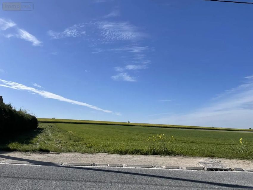 Image Vue à terrain de Courtisols