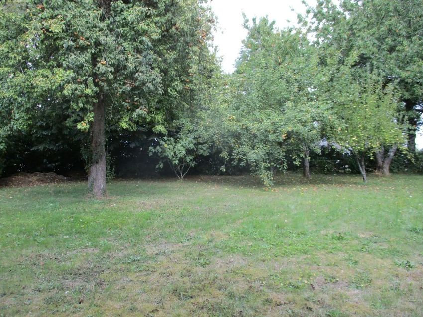 Image de terrain à Parigné