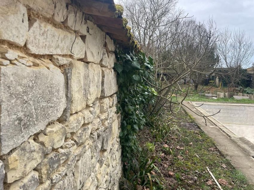 Image de terrain à Bourgneuf