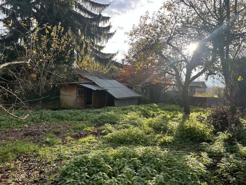Image de terrain à Viuz-en-Sallaz