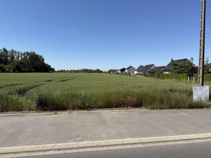 Image Vue à terrain de Merville
