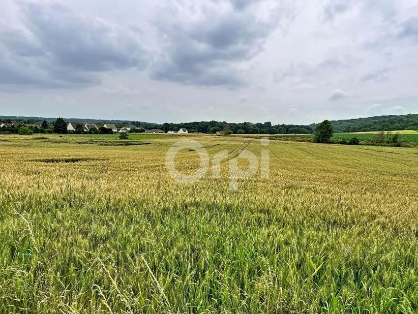 Image de terrain à Sacy-le-Grand