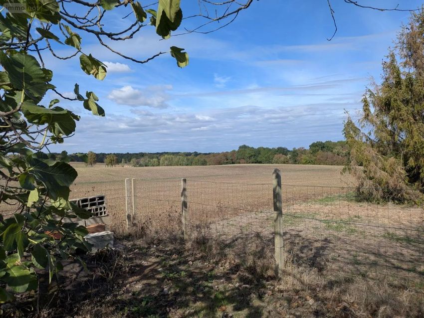 Image de terrain à Loupes