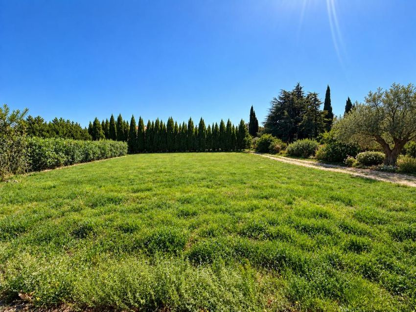 Image de terrain à Saint-Cannat