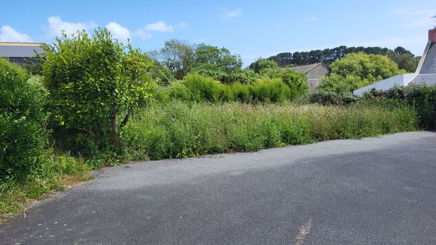 Image de terrain à Le Palais