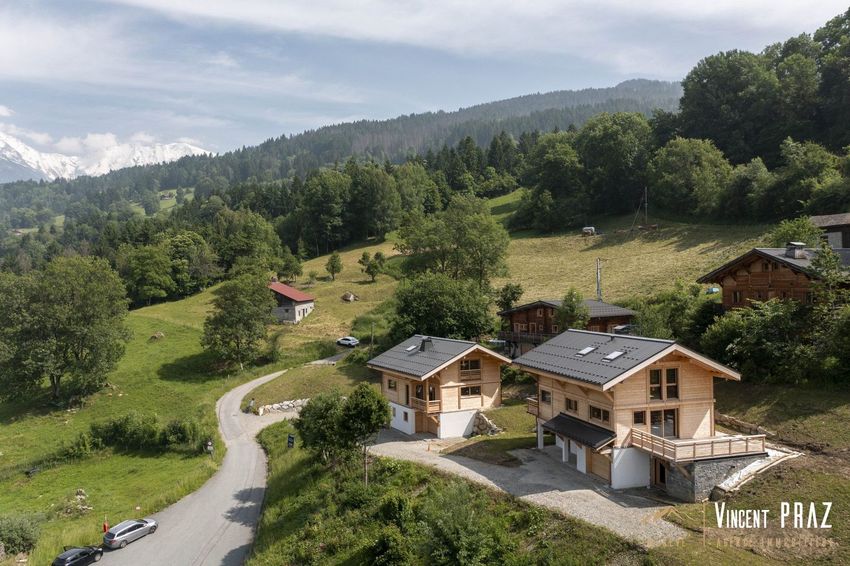 Image Vue à  maison individuelle de Domancy