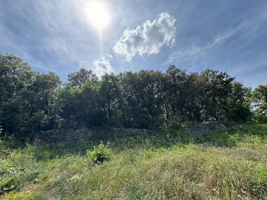 Image de terrain à Saint-Privat-des-Vieux